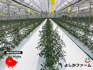 今を見据え、次代に活かす｜ 共和ゴム株式会社